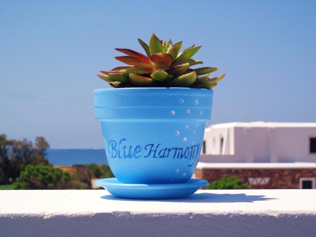 Blue Harmony Apartments Pláka المظهر الخارجي الصورة